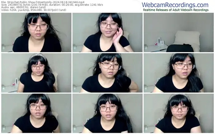 2024/08/18/stripchat-moertomlly-04-19-46