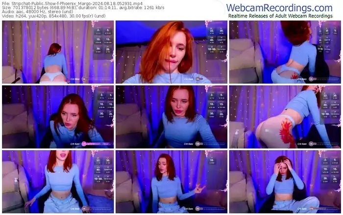 2024/08/18/stripchat-phoenix_margo-05-29-31