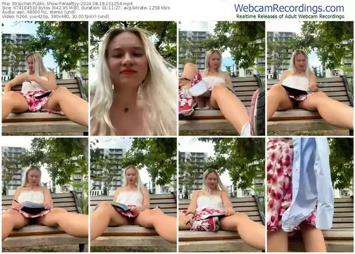 2024/08/18/stripchat-weettyy-10-12-54