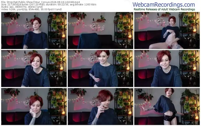 2024/08/18/stripchat-your_corvus-14-10-48