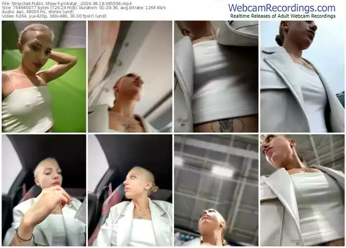 2024/08/18/stripchat-pinkstar_-08-55-56