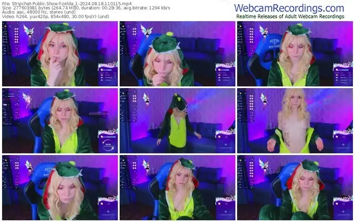 2024/08/18/stripchat-zelda_1-11-01-15