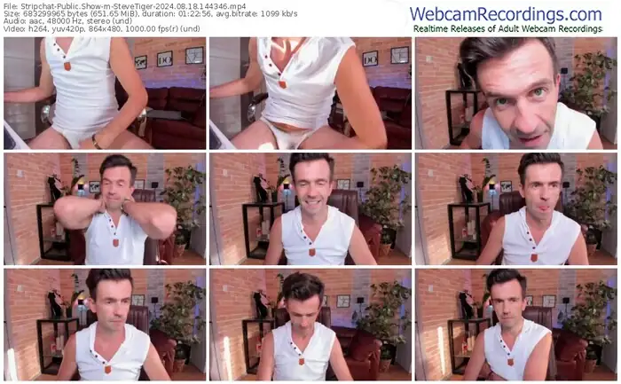 2024/08/18/stripchat-stevetiger-14-43-46