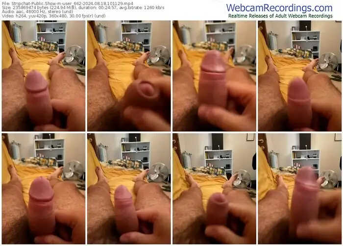 2024/08/18/stripchat-user_662-10-11-29