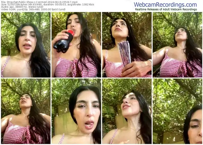 2024/08/19/stripchat-corinveil-15-53-17