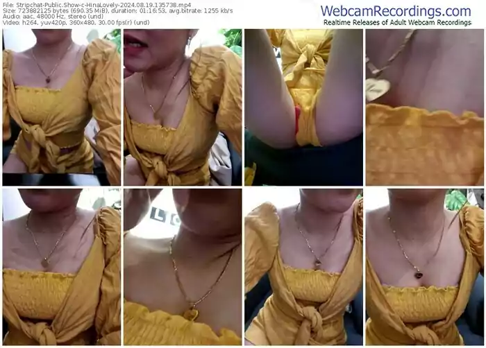 2024/08/19/stripchat-hinalovely-13-57-38