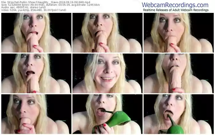 2024/08/19/stripchat-naughty__slave-09-18-48