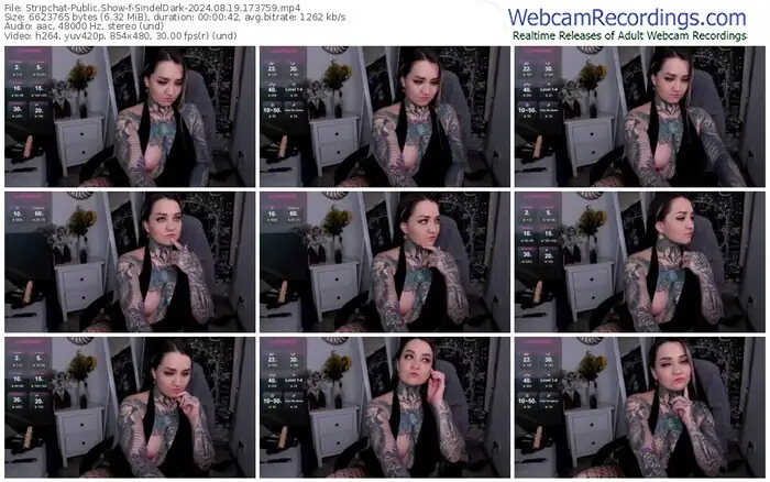 2024/08/19/stripchat-sindeldark-17-37-59