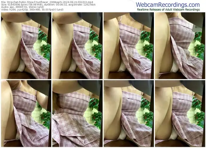 2024/08/19/stripchat-sunflower_2368sayhi-03-22-10