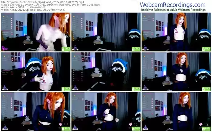 2024/08/19/stripchat-_sparkland_-01-21-55