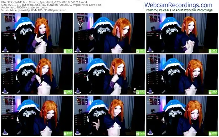 2024/08/19/stripchat-_sparkland_-04-00-19