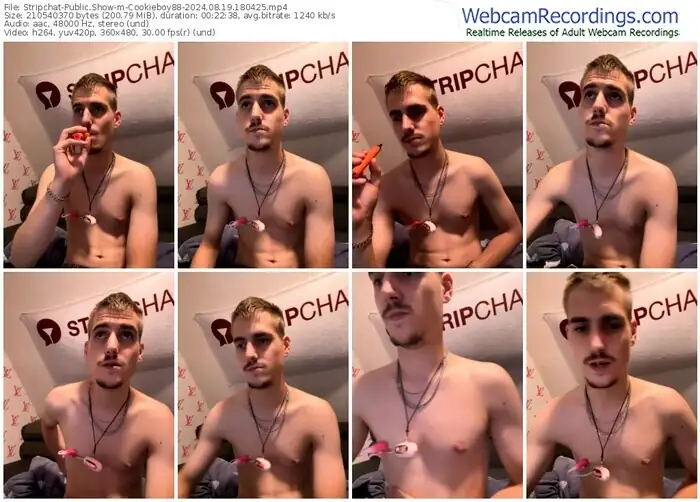 2024/08/19/stripchat-cookieboy88-18-04-25