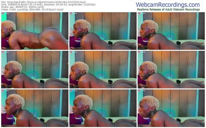 2024/08/19/stripchat-valent1nnnnn-02-33-32