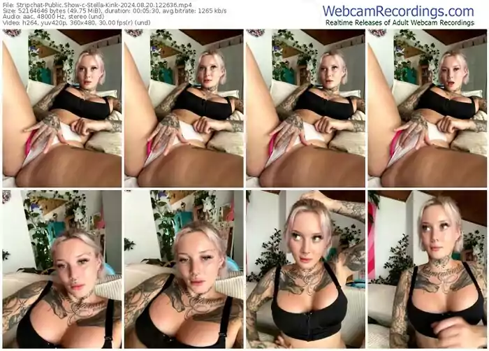 2024/08/20/stripchat-stella-kink-12-26-36