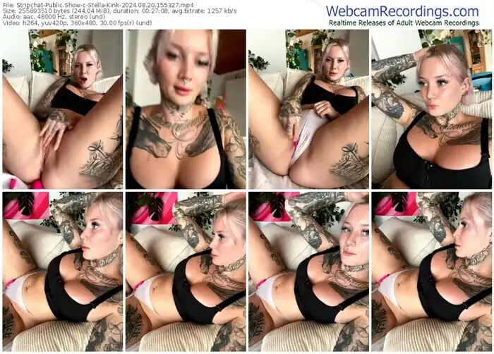 2024/08/20/stripchat-stella-kink-15-53-27