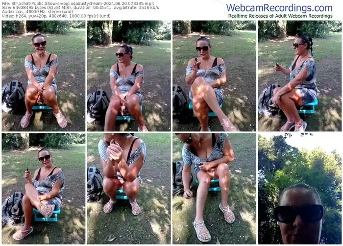 2024/08/20/stripchat-vogliosabustydream-07-33-35