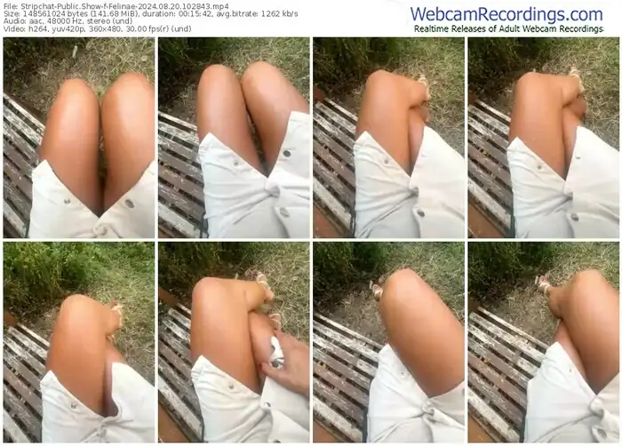 2024/08/20/stripchat-felinae-10-28-43