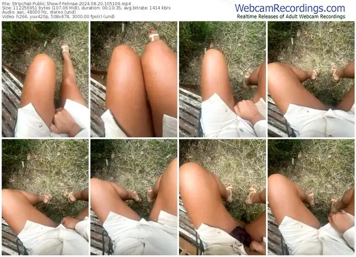 2024/08/20/stripchat-felinae-10-51-09