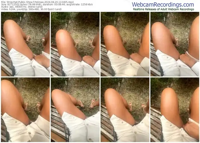 2024/08/20/stripchat-felinae-11-04-05