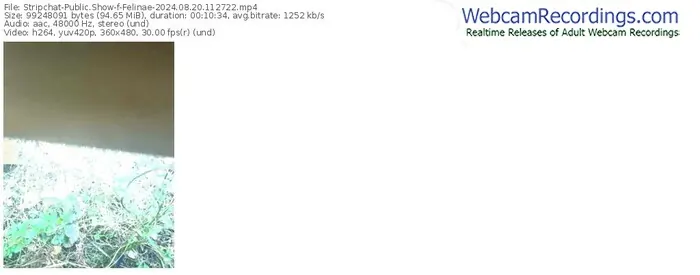 2024/08/20/stripchat-felinae-11-27-22