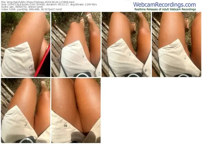 2024/08/20/stripchat-felinae-11-58-08