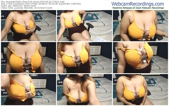 2024/08/20/stripchat-oh_mona-17-36-21