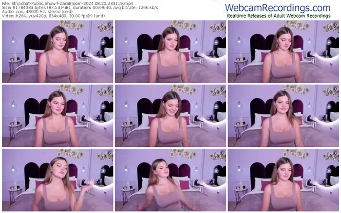2024/08/20/stripchat-zarabloom-23-31-19