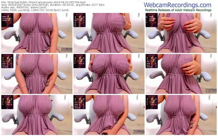 2024/08/20/stripchat-anyarosses-04-57-58