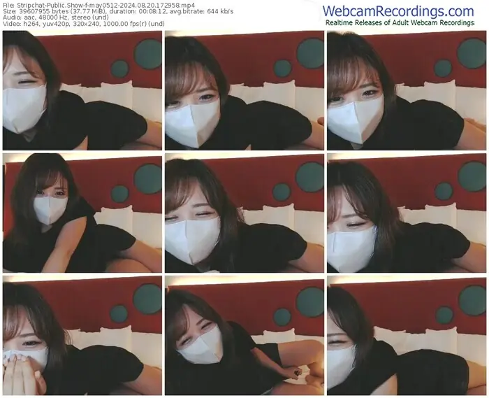 2024/08/20/stripchat-may0512-17-29-58