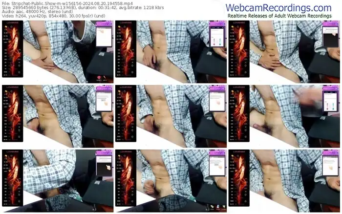 2024/08/20/stripchat-w156156-19-45-58