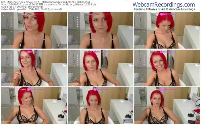 2024/08/21/stripchat-off__melonenmandy-13-04-00