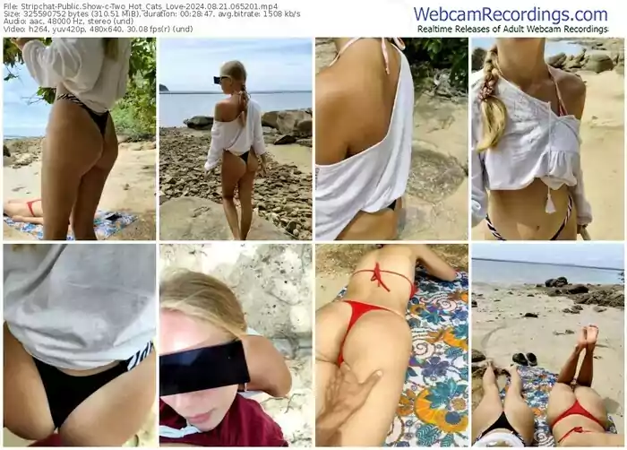 2024/08/21/stripchat-two_hot_cats_love-06-52-01