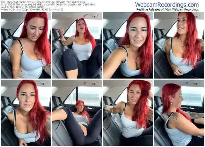 2024/08/21/stripchat-black-flamingo-12-04-21