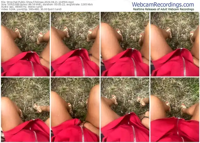 2024/08/21/stripchat-felinae-10-45-56