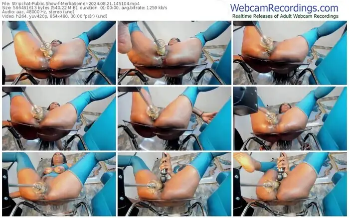 2024/08/21/stripchat-merliasomer-14-51-04