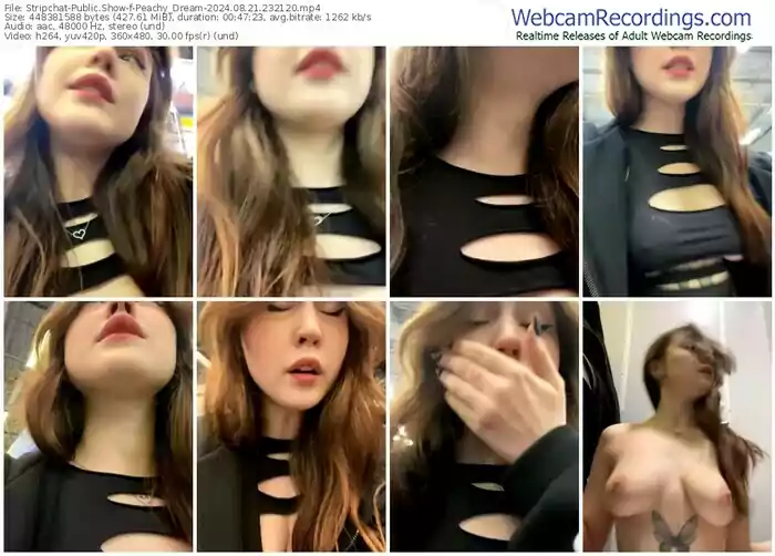2024/08/21/stripchat-peachy_dream-23-21-20