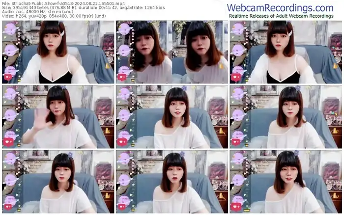 2024/08/21/stripchat-a0513-16-55-01