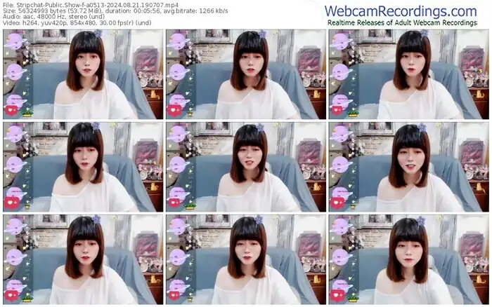 2024/08/21/stripchat-a0513-19-07-07