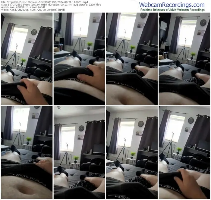 2024/08/21/stripchat-odinwolf1990-11-06-01