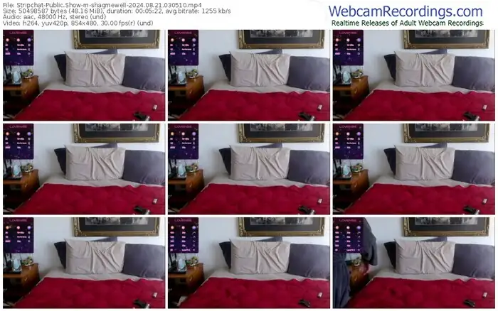 2024/08/21/stripchat-shagmewell-03-05-10