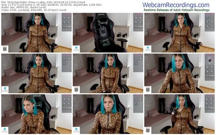 2024/08/22/stripchat-latex_kitty-11-04-12