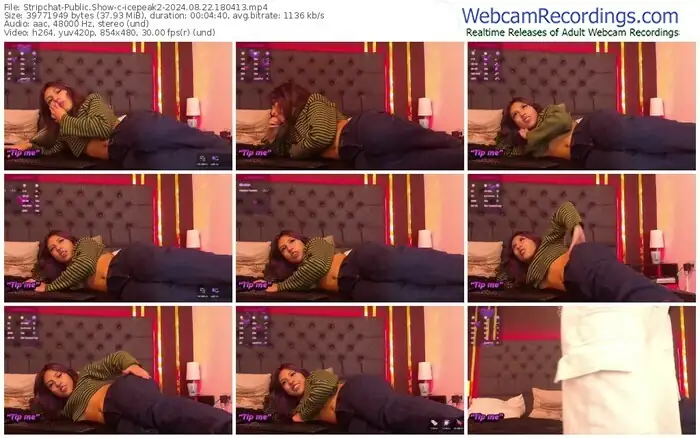 2024/08/22/stripchat-icepeak2-18-04-13