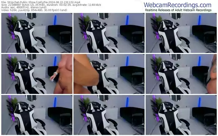 2024/08/22/stripchat-jellypie-23-11-02
