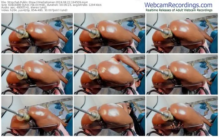 2024/08/22/stripchat-merliasomer-19-45-09