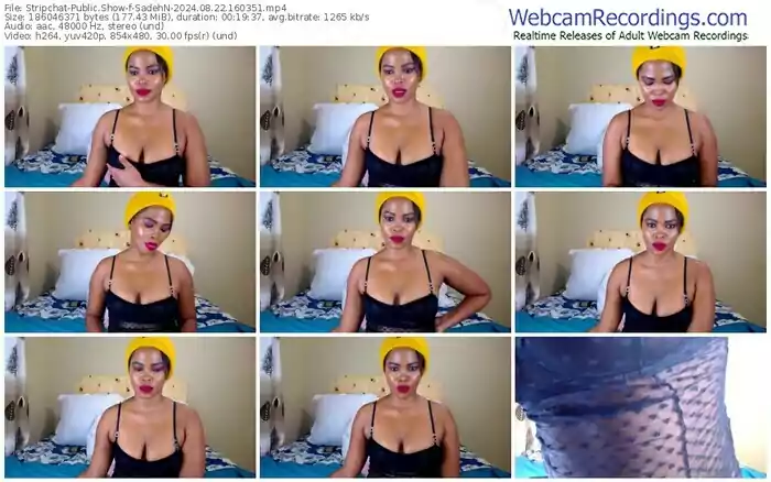 2024/08/22/stripchat-sadehn-16-03-51