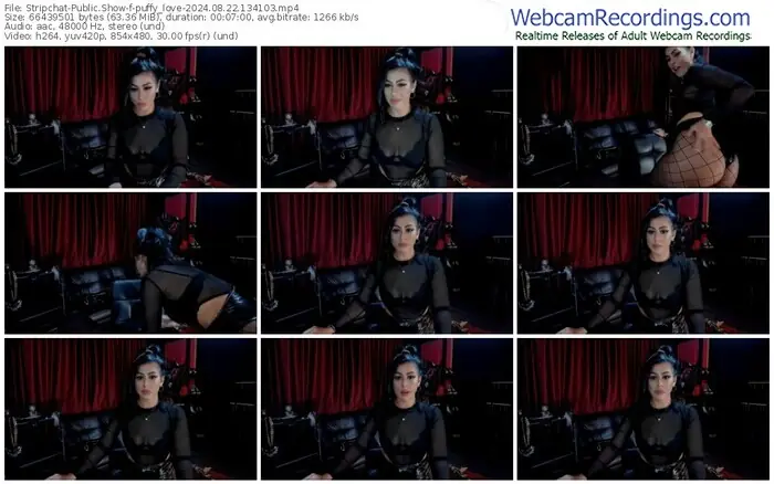 2024/08/22/stripchat-puffy_love-13-41-03