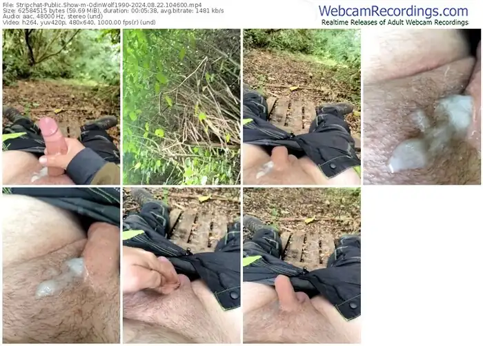 2024/08/22/stripchat-odinwolf1990-10-46-00