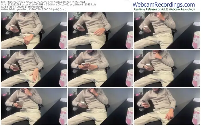 2024/08/22/stripchat-thehornyguy97-10-58-51
