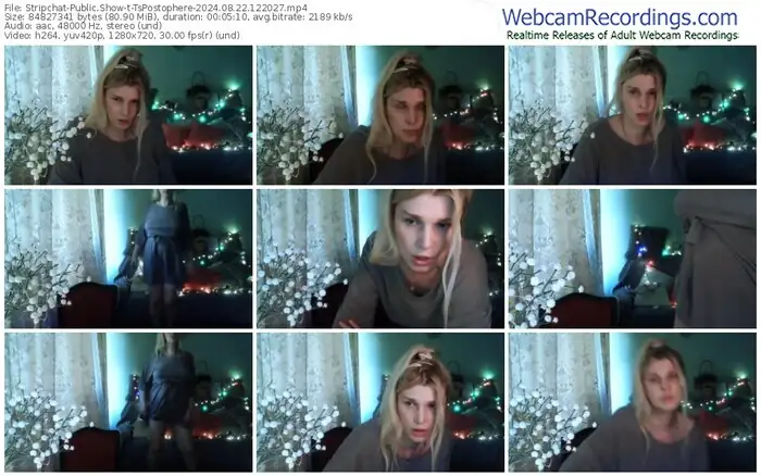 2024/08/22/stripchat-tspostophere-12-20-27
