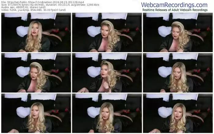 2024/08/23/stripchat-ondinanoir-20-11-28